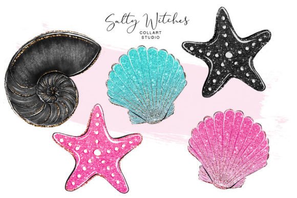 Download Hand Drawn Shells, Sea Star, Glitter - Hand Collection
