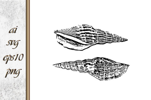 Download Doodle Shellfish Hand Drawn Sketch Vecto - Hand Collection
