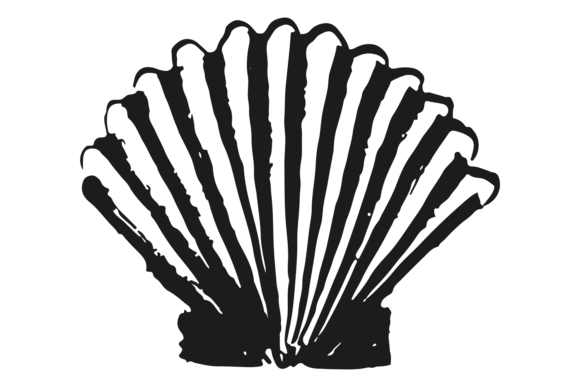 Download Cockle Shell. Sea Animal in Hand Drawn S - Hand Collection